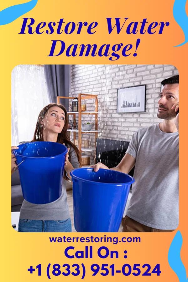 water restoration Elite Emergency Restoration Specialists Newport