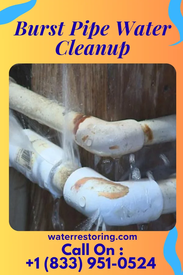 Burst Pipe Water Cleanup in Newport, SC
