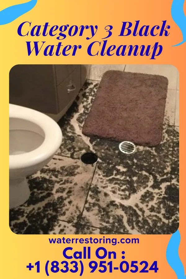 Category 3 Black Water Cleanup in Newport, SC