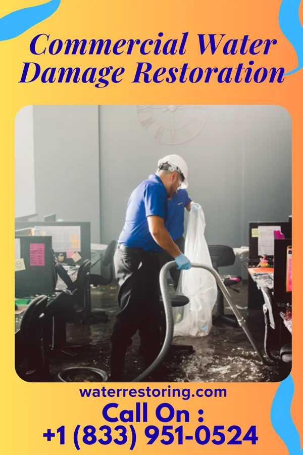 Commercial Water Damage Restoration in Newport, SC