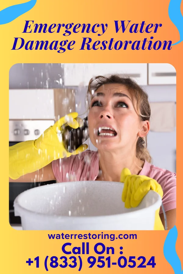 Emergency Water Damage Restoration in Newport, SC